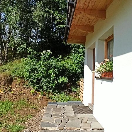 Apartament Pod Brzozami Białka Tatrzańska Zewnętrze zdjęcie